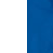 White / Team Blue